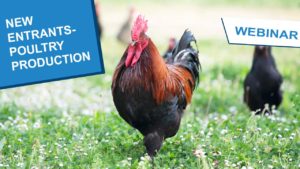 2021.08.25 New entrants to Ag poultry COVER