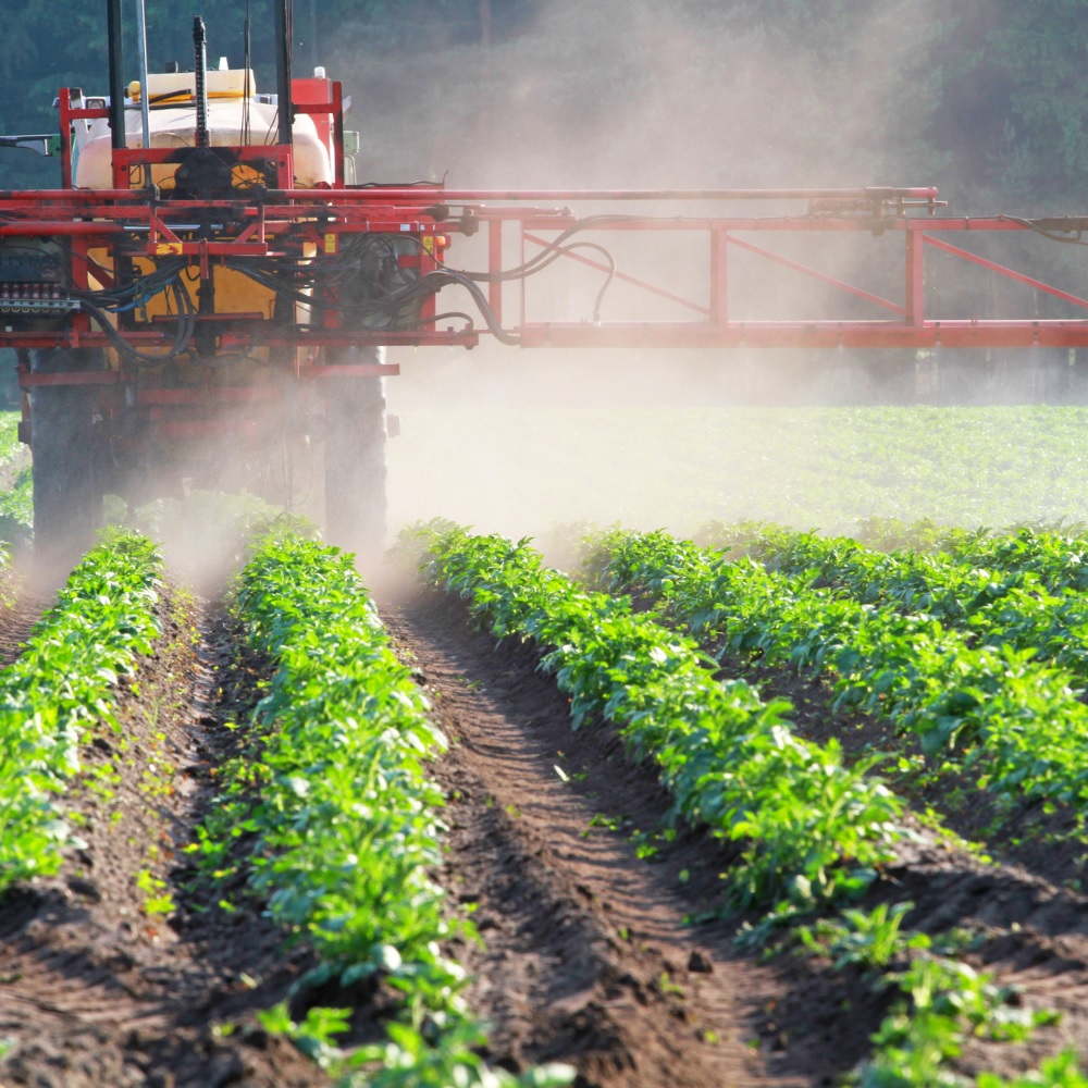 A self propelled crop sprayer treating drills of potatoes, driving away from the viewer.