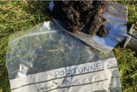 Soil Sample Polytunnel