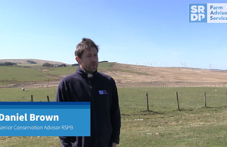 Daniel Brown, a Senior Conservation Officer with the RSPB standing in an upland field in the Clyde Valley Wader Initiative area.