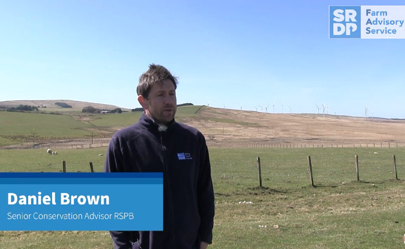 Daniel Brown, a Senior Conservation Officer with the RSPB standing in an upland field in the Clyde Valley Wader Initiative area.