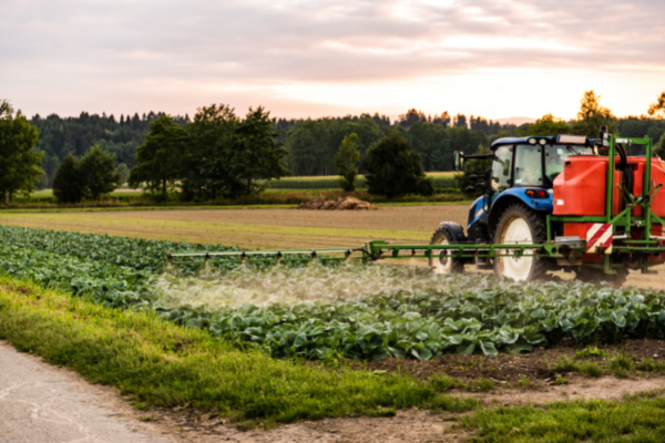 A New Holland tractor with a pesticide sprayer attached, treating a crop of cabbages with chemicals.