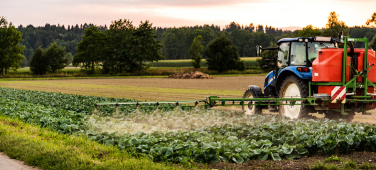 A New Holland tractor with a pesticide sprayer attached, treating a crop of cabbages with chemicals.