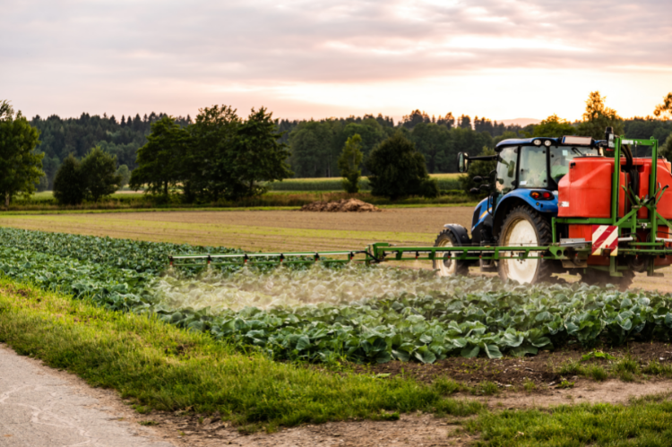 A New Holland tractor with a pesticide sprayer attached, treating a crop of cabbages with chemicals.