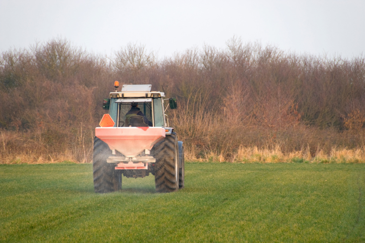 A tractor and fertiliser spreader in a grass field driving away from the camera and towards an area of scrub at the field margin.