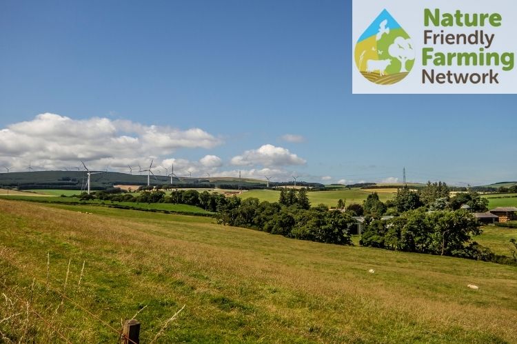 An upland farm scene with grassland field in the foreground and a number of wind turbines in the distance. The Nature Friendly Farming Network logo is embedded in the top right hand corner of the photo.