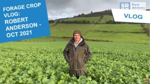 2021 FOrage Crop vlogs thumbnail - Robert Anderson OCT21