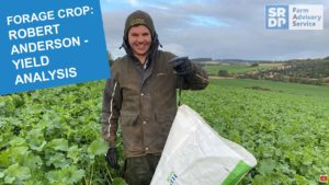 2021 FOrage Crop vlogs thumbnail - Robert Anderson Yield Analysis