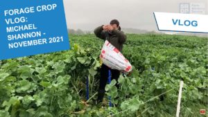 2021 Forage Crop vlogs thumbnail - Michael Shannon NOV21