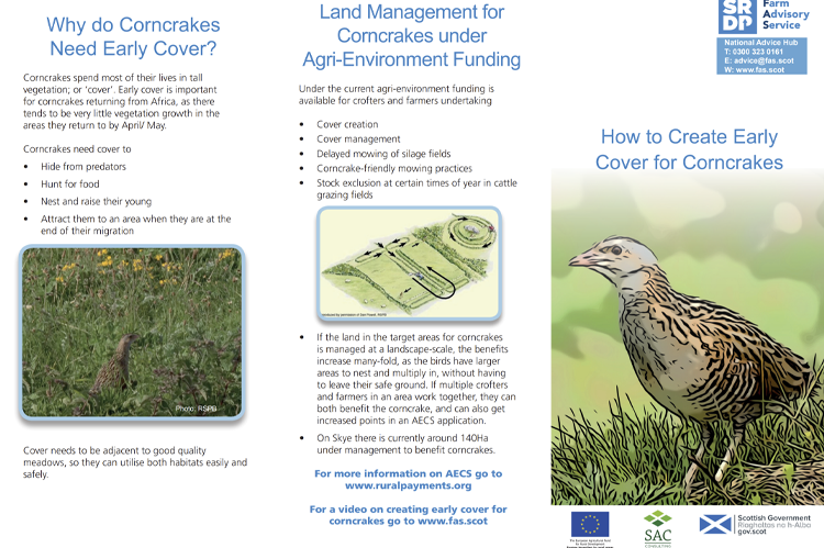 A copy of the front of the FAS 'How to create early cover for corncrakes' leaflet.