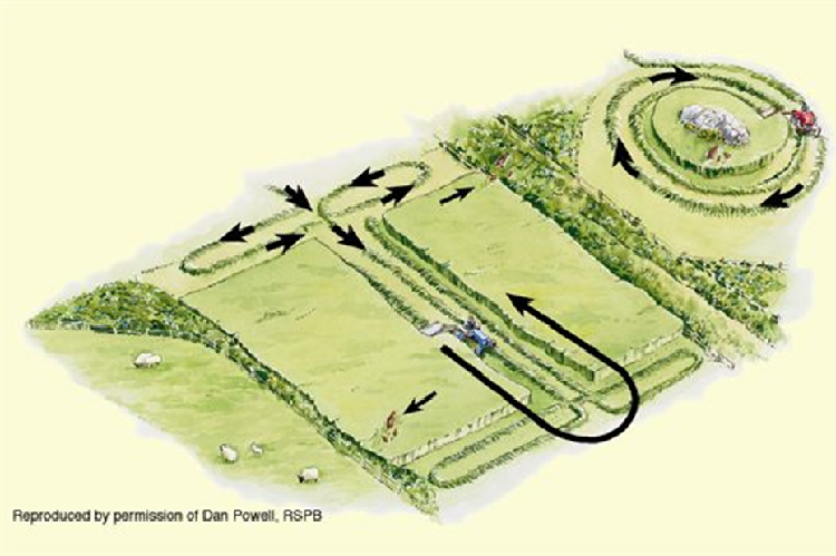 Infographic showing how to mow a field from the inside of the field to the outside in order to benefit corncrakes and other farmland birds.