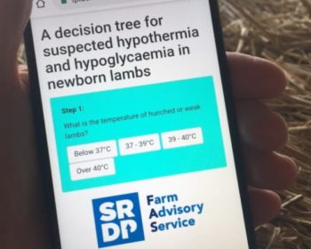 Lamb h ypothermiadecision tool on smartphone