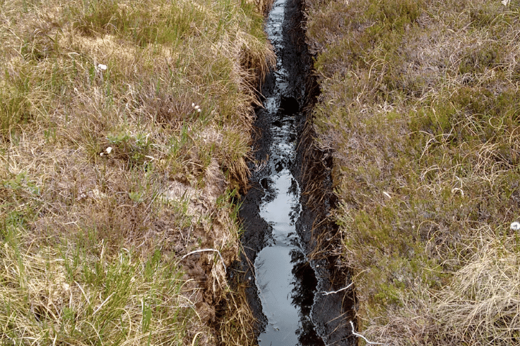 A moor grip in deep peat. It's a deep straight drain water lined through a wet bog.