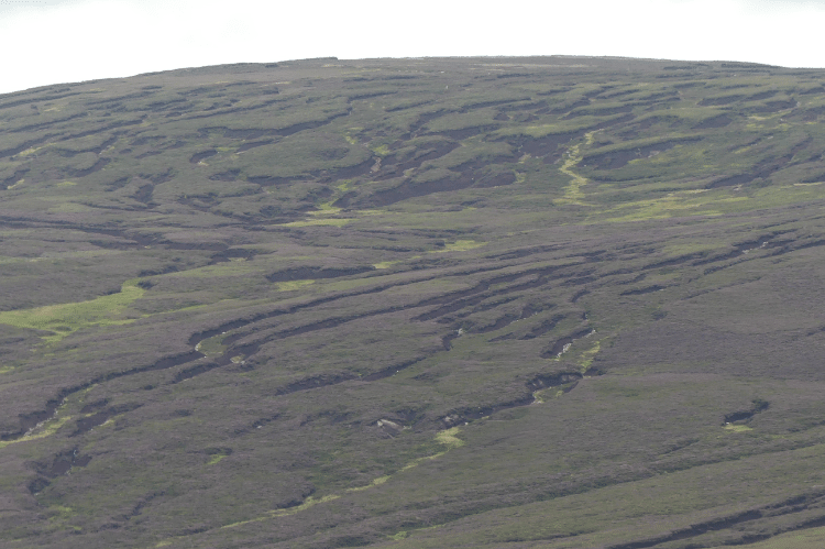 A expanse of upland moorland habitat showing areas of severe peat erosion that takes the form of multiple deep gullies running down and across the hill.