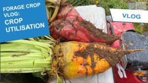 2021 Forage Crop vlogs crop utilisation