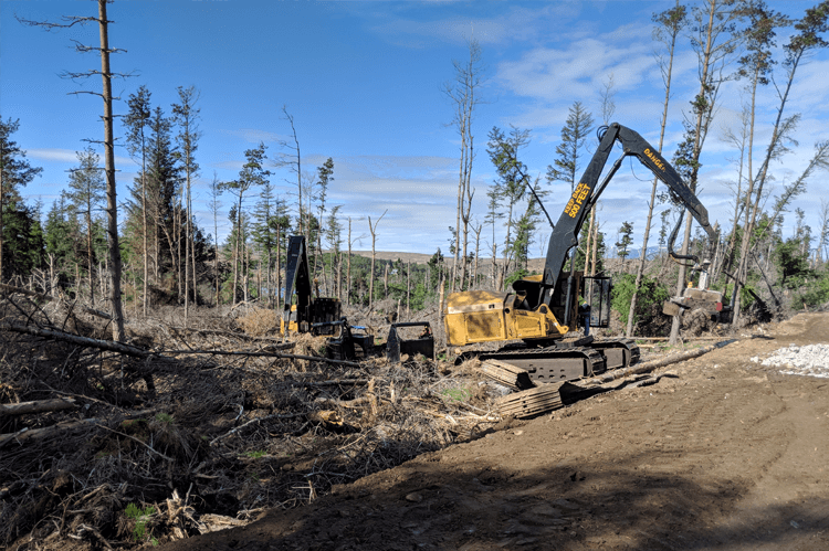 Forestry machinery clearing windblown trees within a forestry plantation.