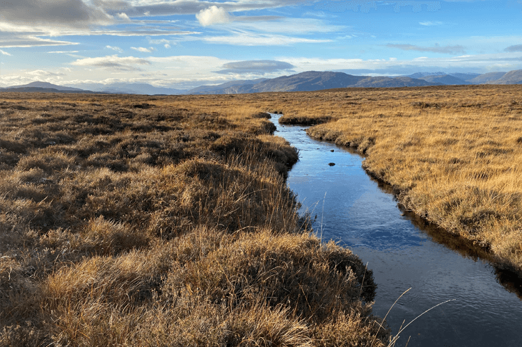 A peat dam filled with water cutting across an area of moorland with a blue sky and whispy white clouds above.