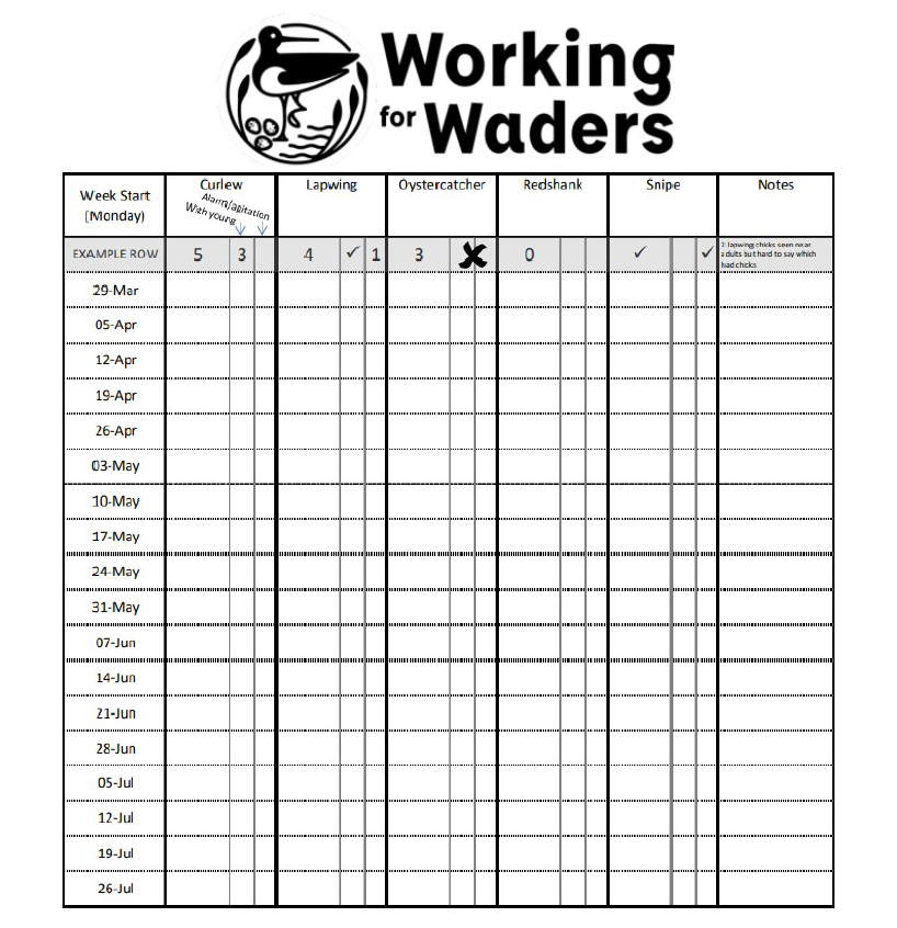 A copy of the Working for Waders recording calendar