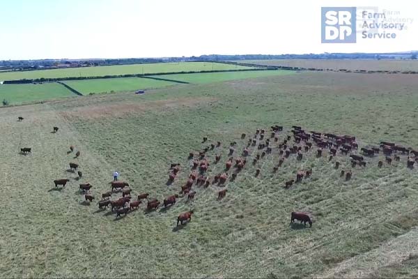 Organics Farm Tours