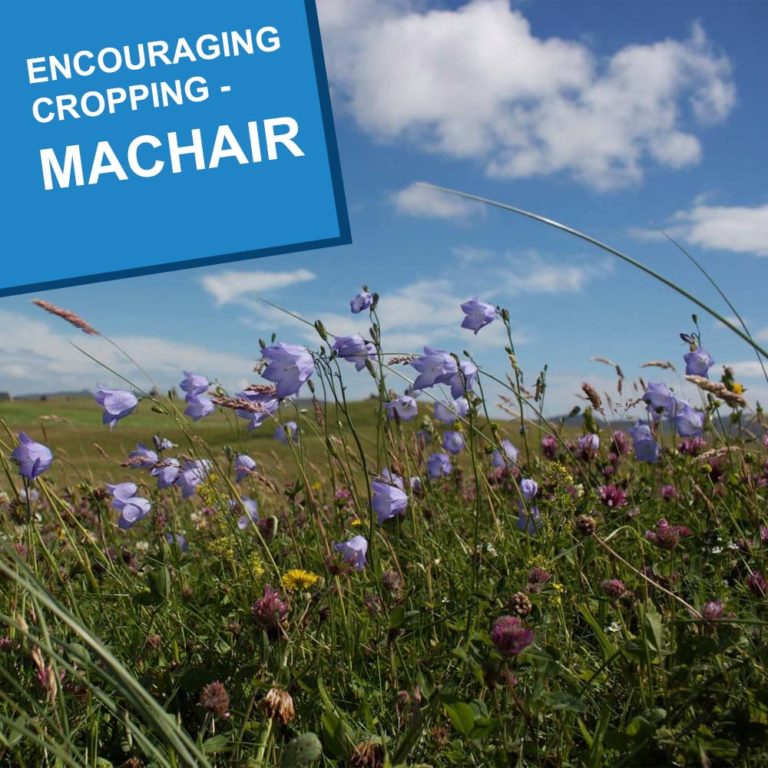 Encouraging Cropping machair COVER Encouraging Cropping machair COVER