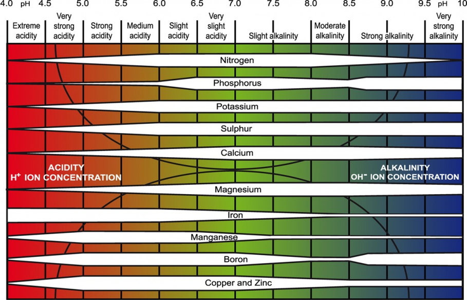 Chart showing nutrient availability relative to pH (redrawn by PDA from Troug. E. 1946)