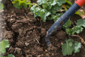 soil and spade