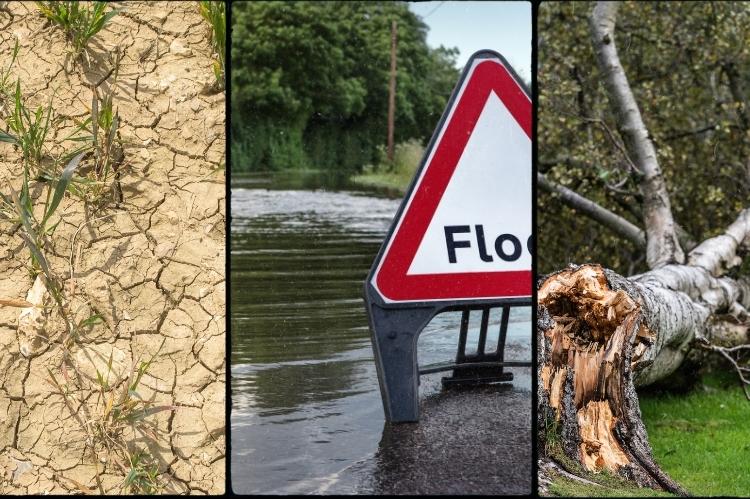 A collage of three photos depicting severe weather from climate change - drought as shown by cracked earth and struggling plants, flooding with deep water lying on a road behind a 'flood' warning sign and storminess as shown by a windblown tree with damaged trunk.