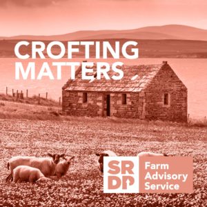 Crofting Matters Small