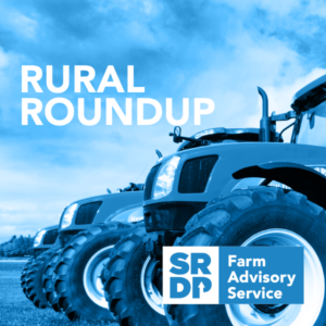 RuralRoundup_01_small