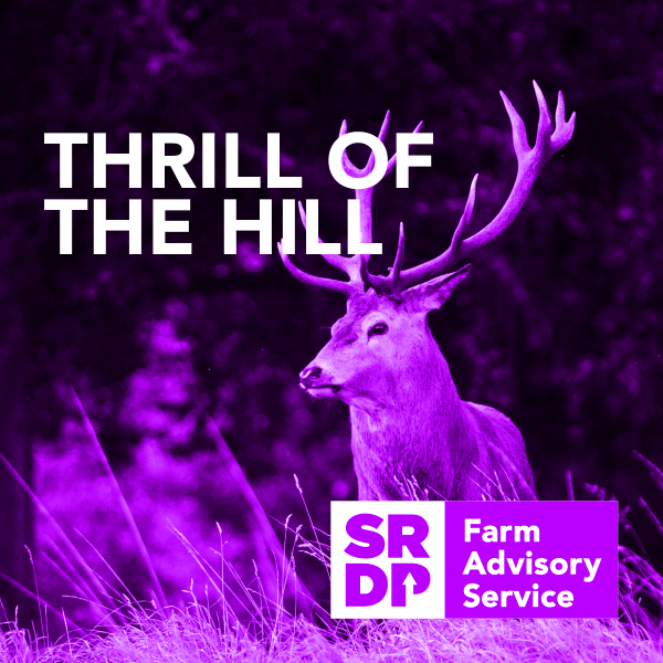 ThrilloftheHill_01_small