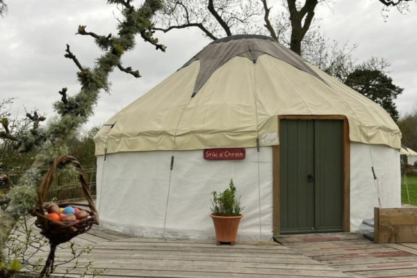 Yurt in front of a tree