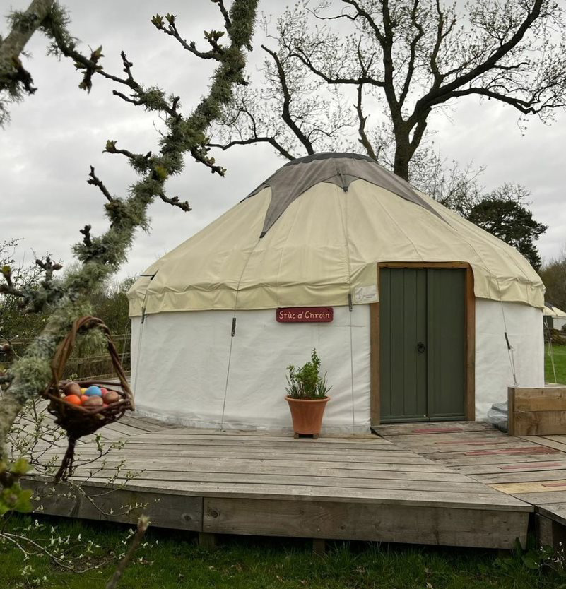 Yurt in front of a tree