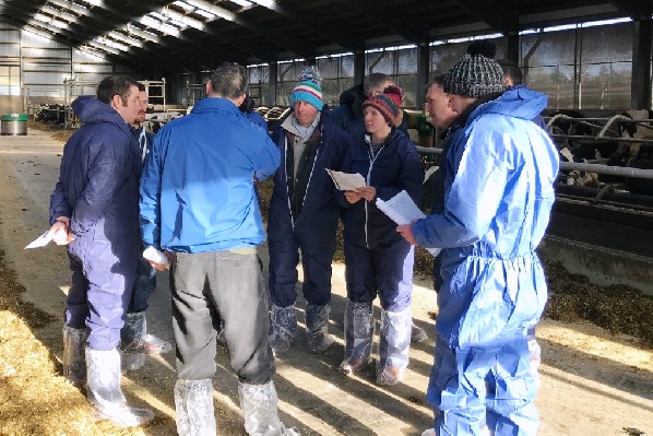 South West Dairy Focus Group