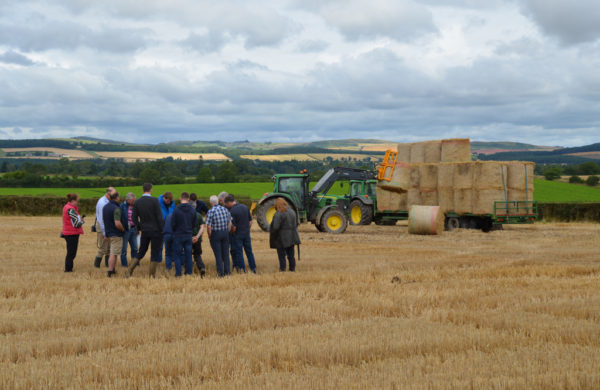 Crowd of people with tractor loading round bales onto a trailer in the background