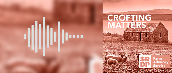 Front Page Podcast Template - Crofting Matters Front Page Podcast Template - Crofting Matters