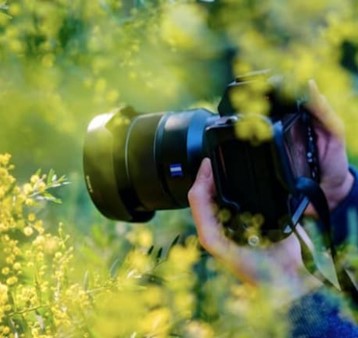 Camera being held amongst trees