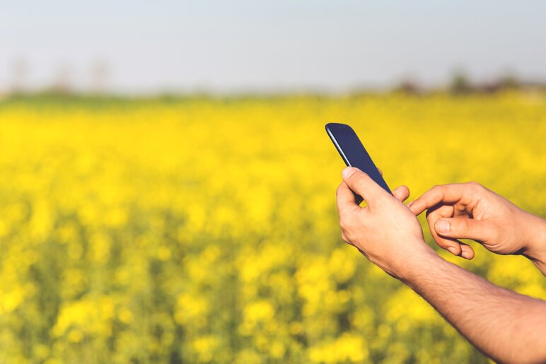 rsz_man-field-smartphone-yellow