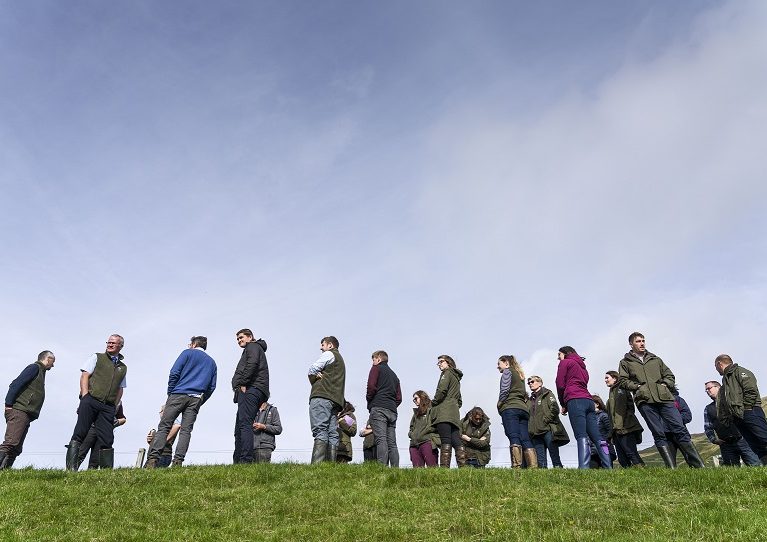 Small crowd of people in a field