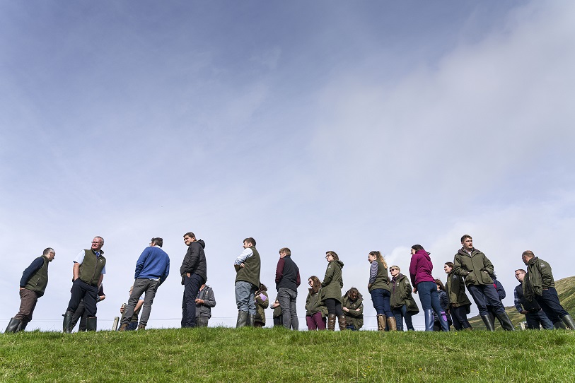 Small crowd of people in a field