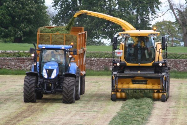 Tractor and trailer collecting silage from a silage machine