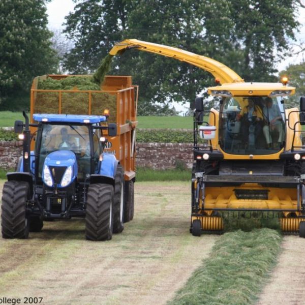 Tractor and trailer collecting silage from a silage machine