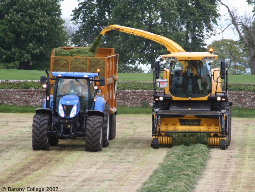 Tractor and trailer collecting silage from a silage machine