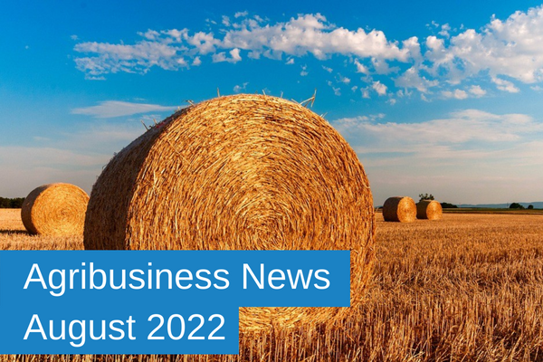 _Agribusiness New August 2022