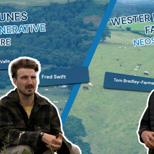 FAS TV S2E8 5th august