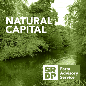 Natural_Capital_forweb