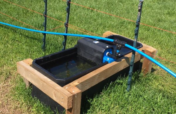 Water Trough