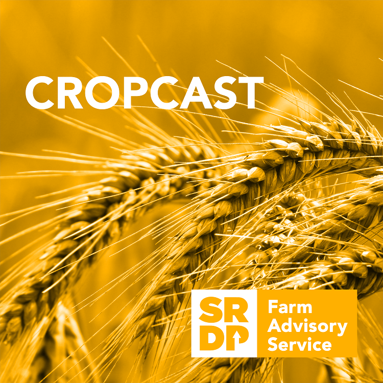 Cropcast_small