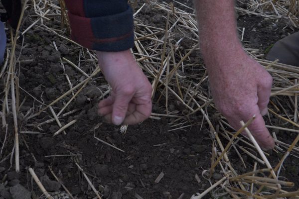 Reducing Tillage & Lowering Emissions