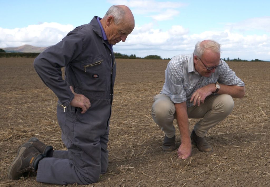 Men looking at soil