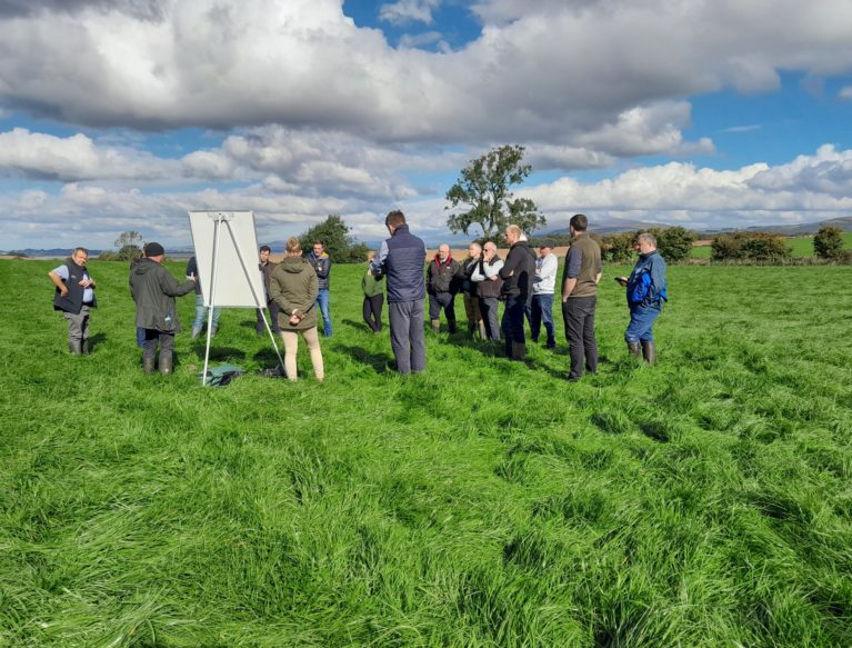 People in a field looking at a flip chart